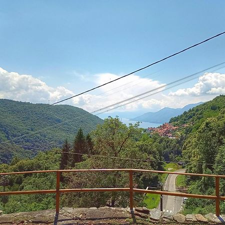 Musignano Ca' Di Aroha公寓 外观 照片