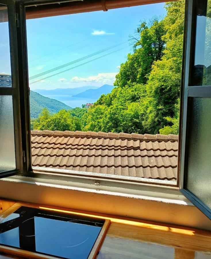 Musignano Ca' Di Aroha公寓 外观 照片